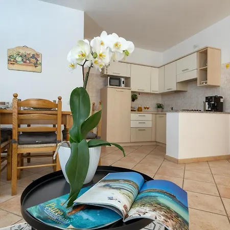 Izzhome Everyway * 풀라